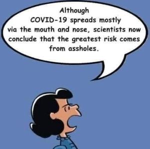 Meet your Posher, Marlene